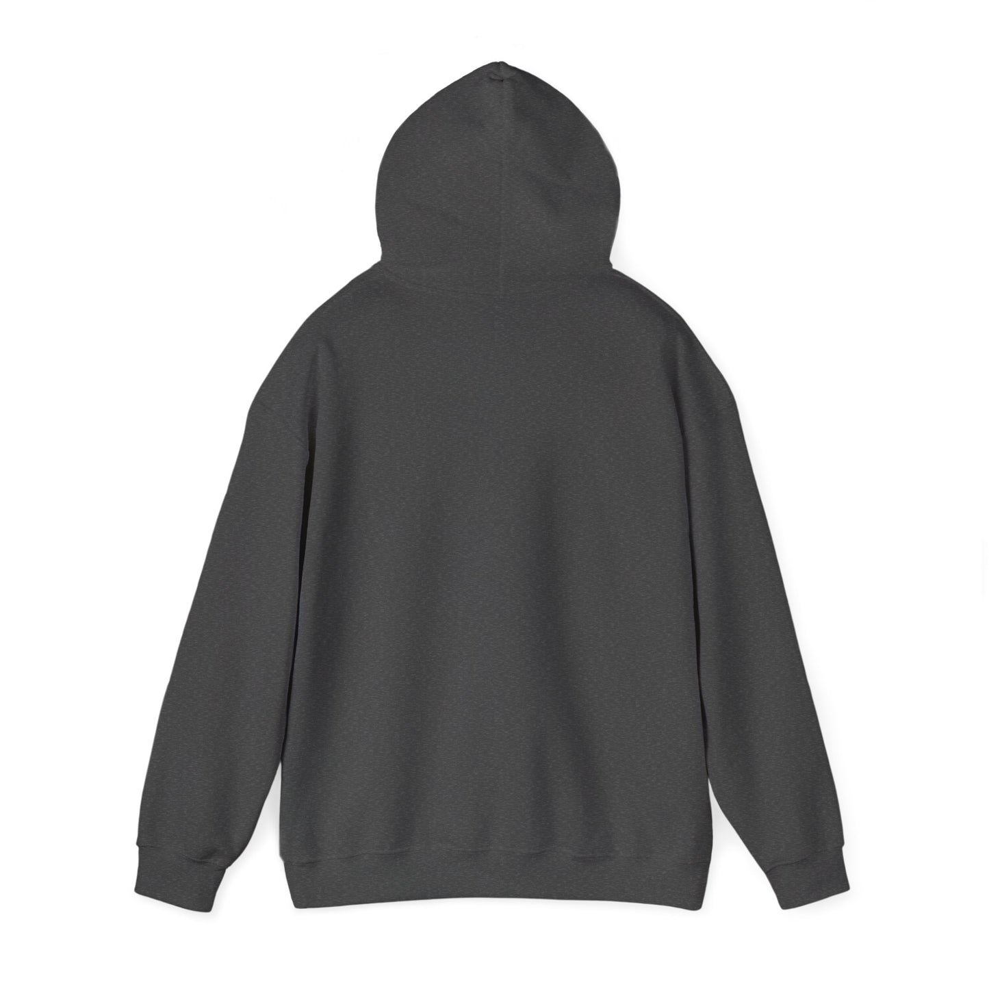 HFCS Logo - Unisex Heavy Blend™ Hooded Sweatshirt