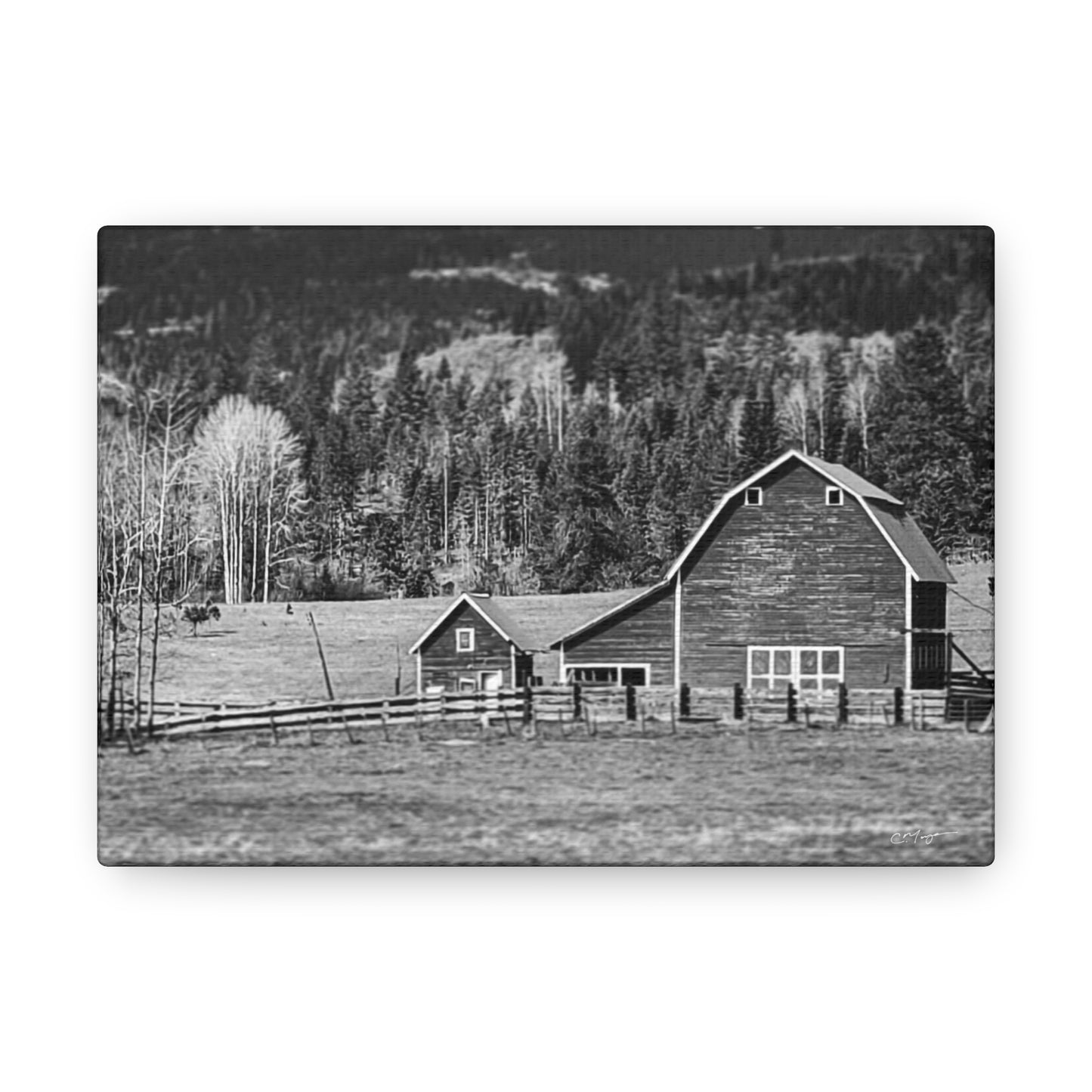 Canvas Print | Photo: Rural Life