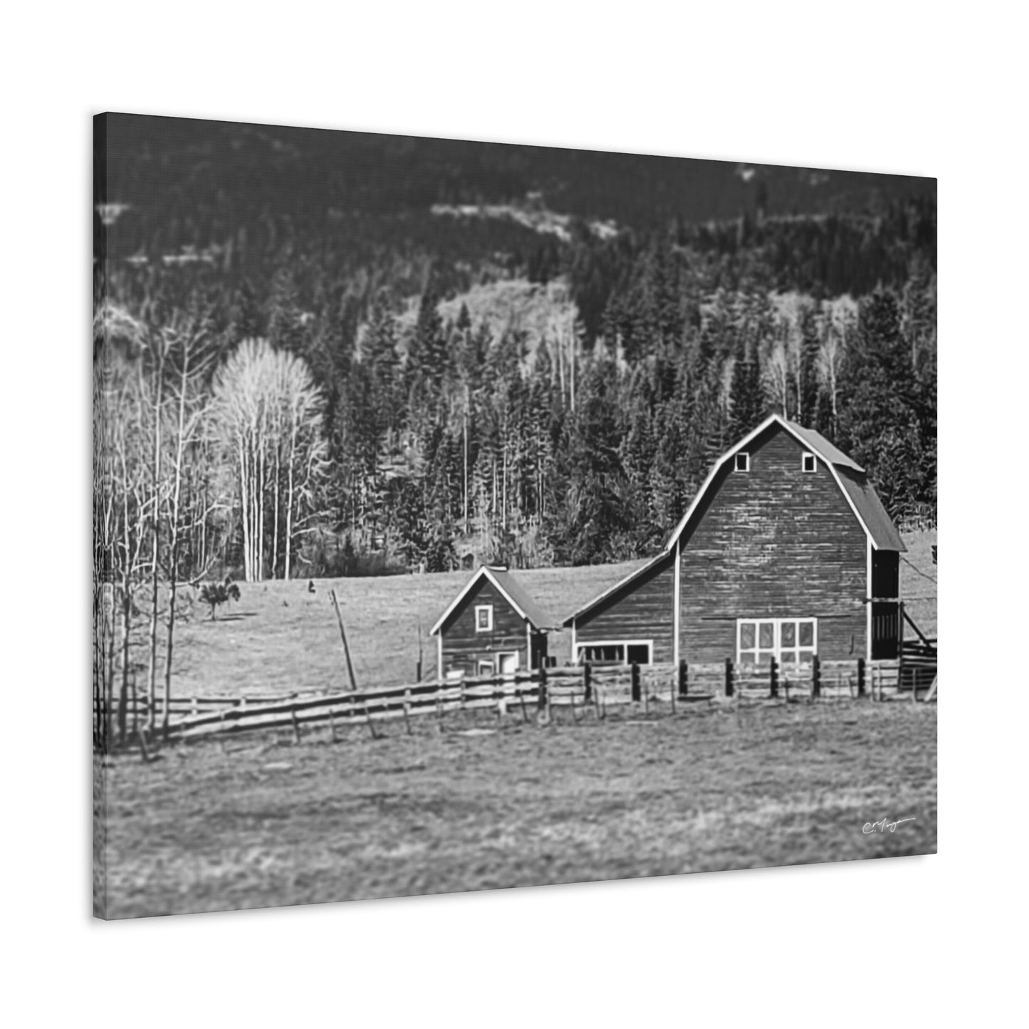 Canvas Print | Photo: Rural Life