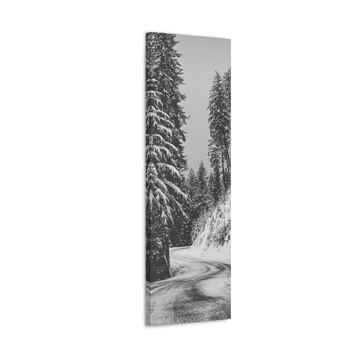 Canvas Print | Photo: The Road Home