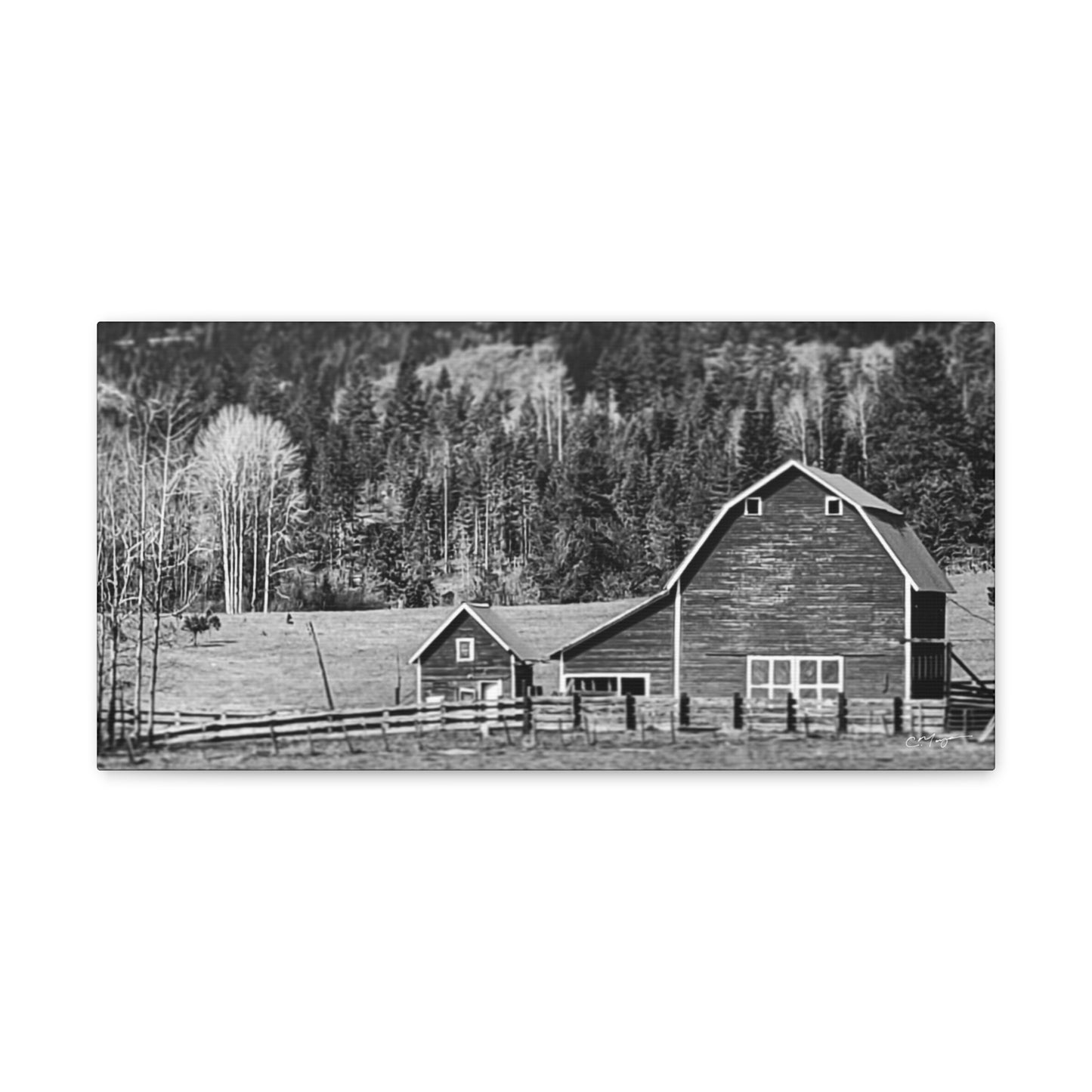 Canvas Print | Photo: Rural Life