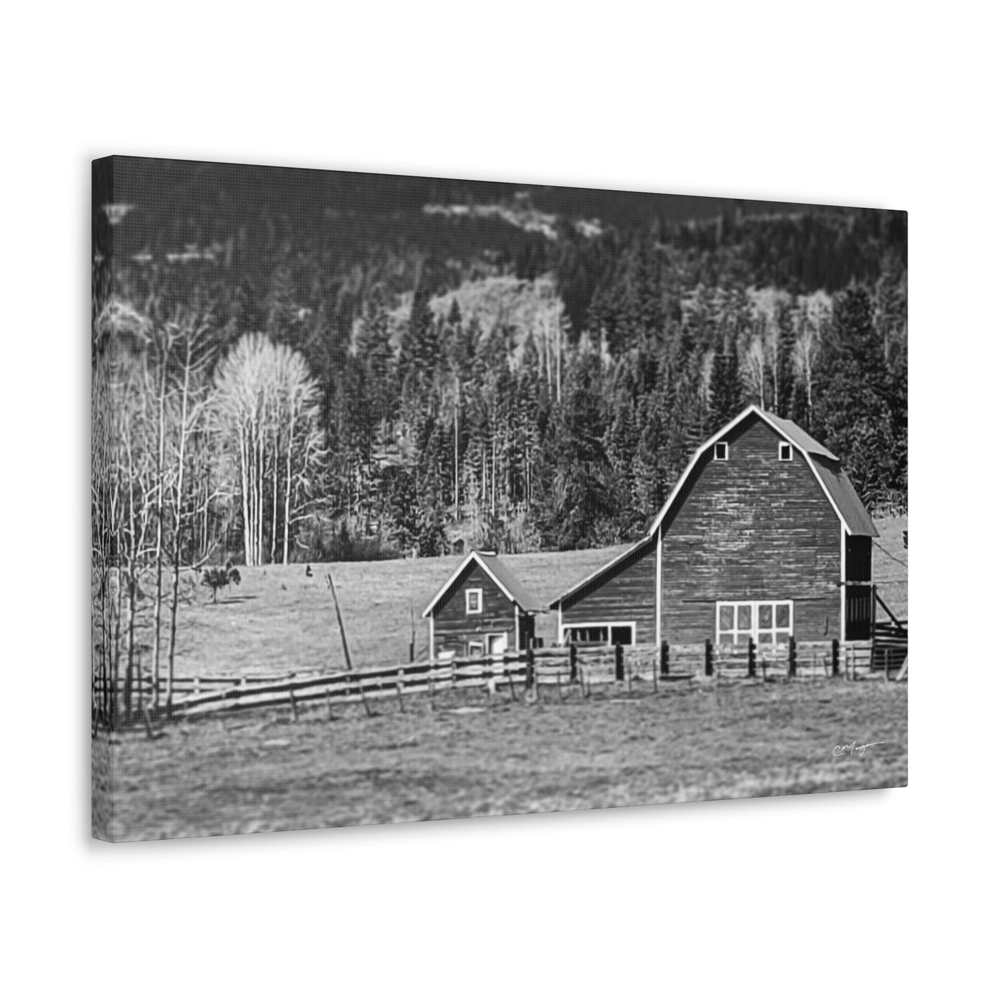 Canvas Print | Photo: Rural Life