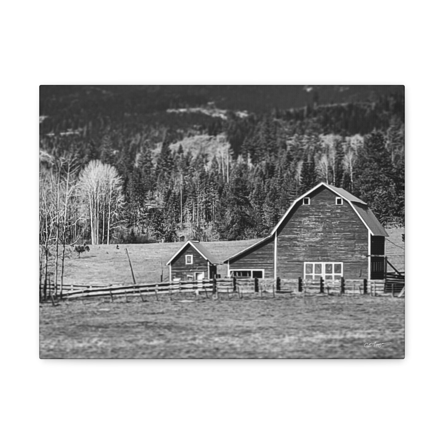Canvas Print | Photo: Rural Life