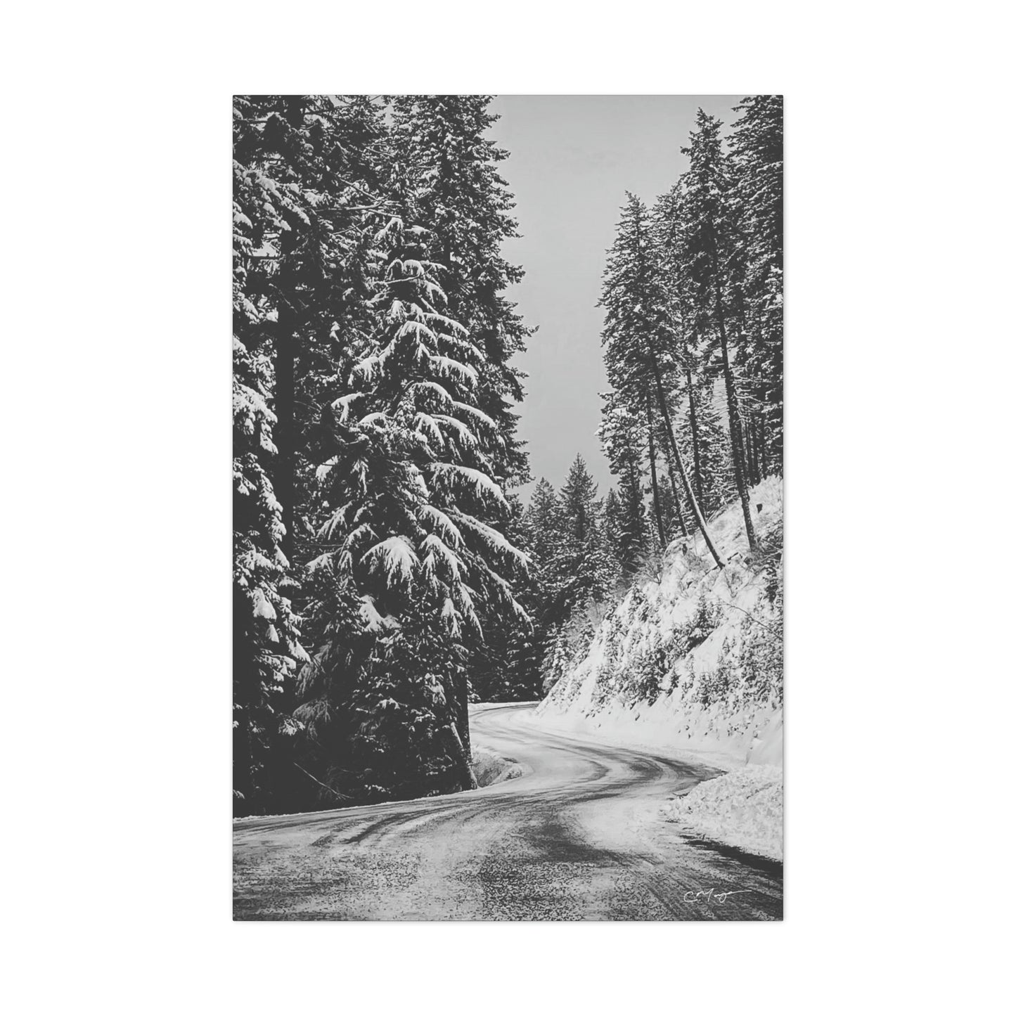 Canvas Print | Photo: The Road Home