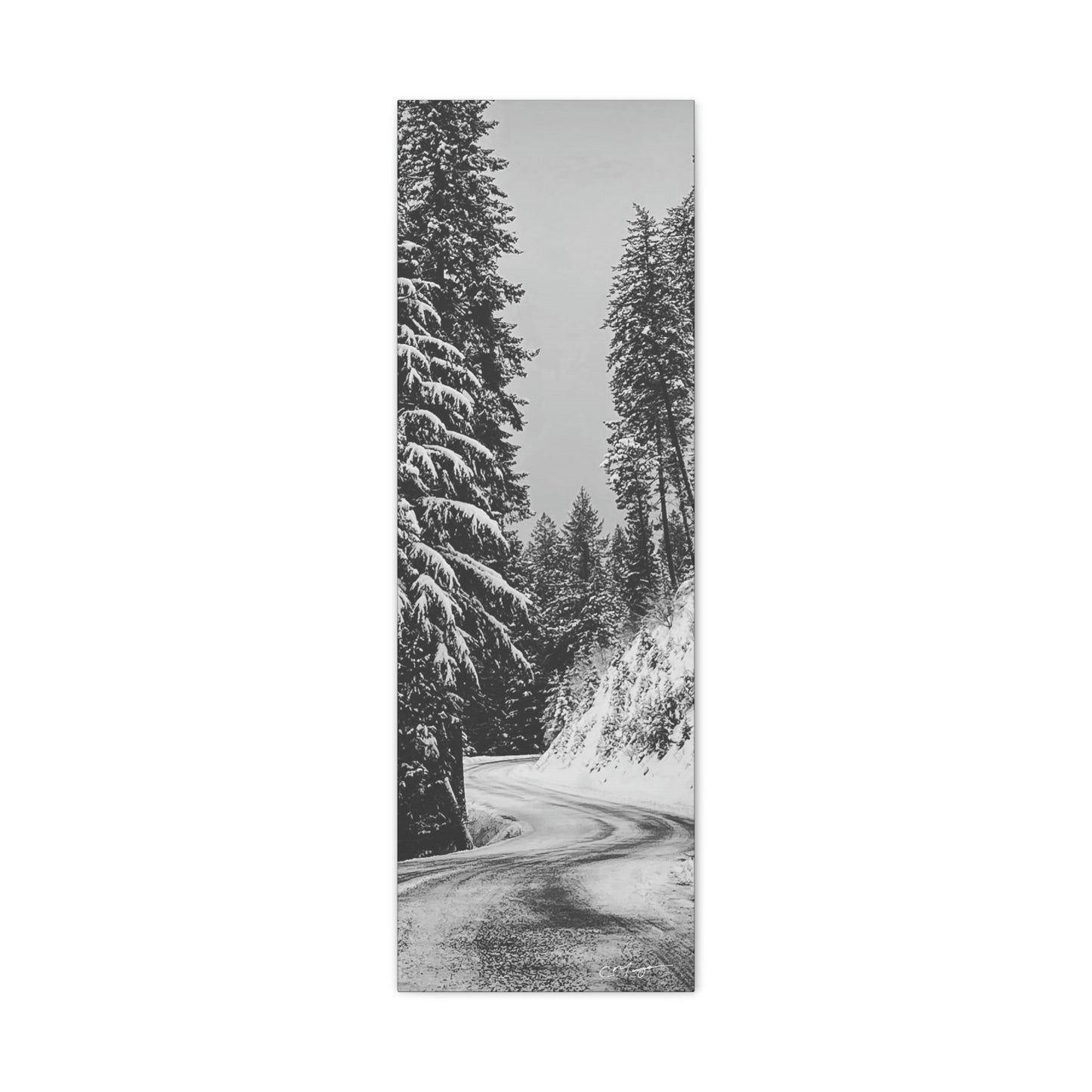 Canvas Print | Photo: The Road Home