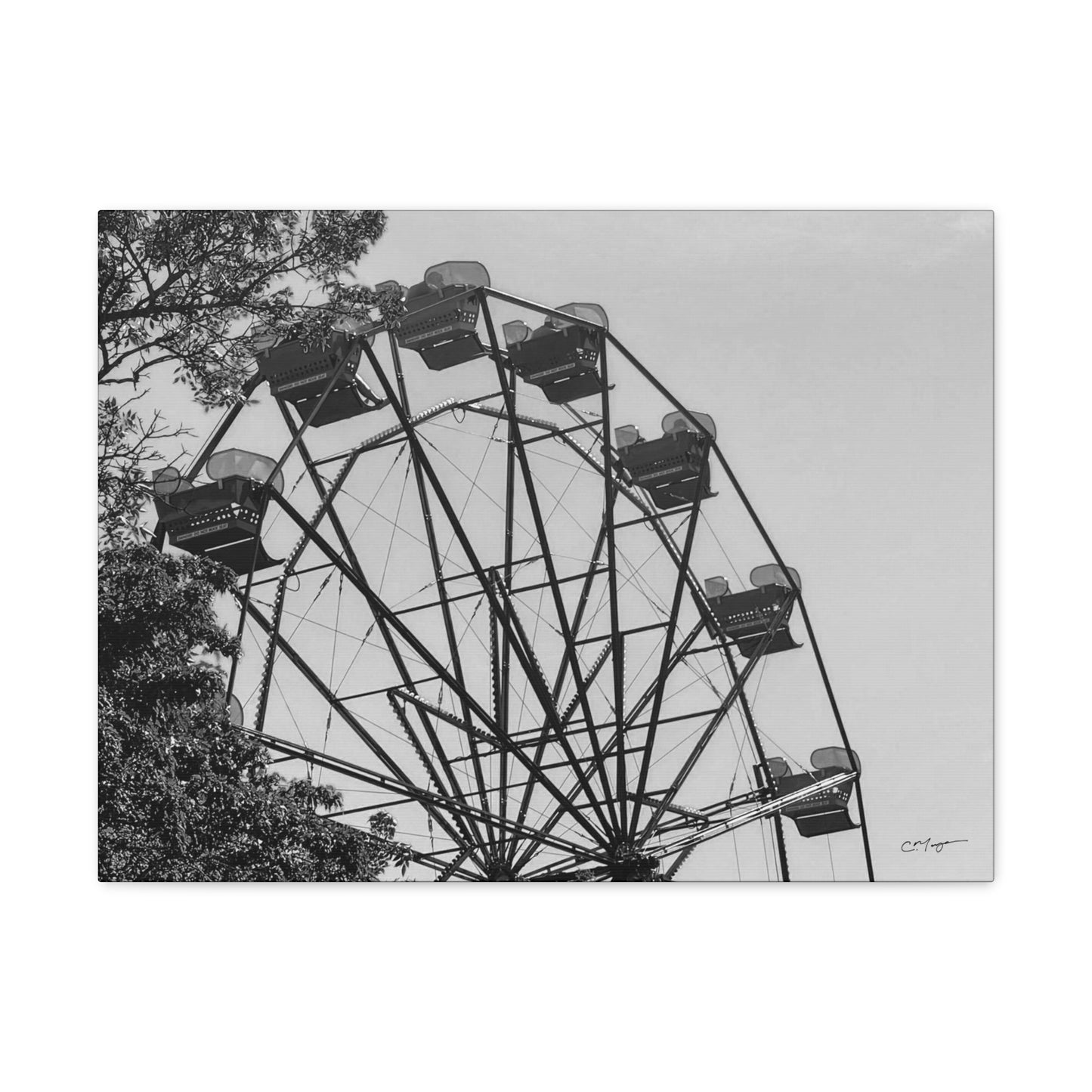 Canvas Print | Photo: Round We Go