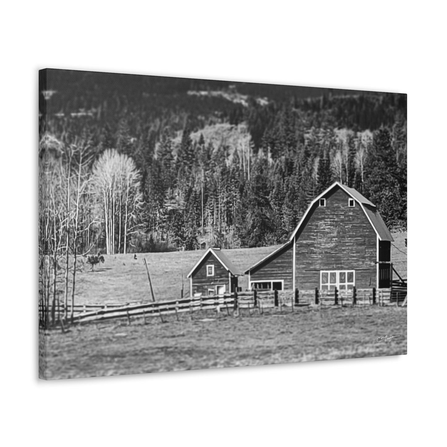 Canvas Print | Photo: Rural Life