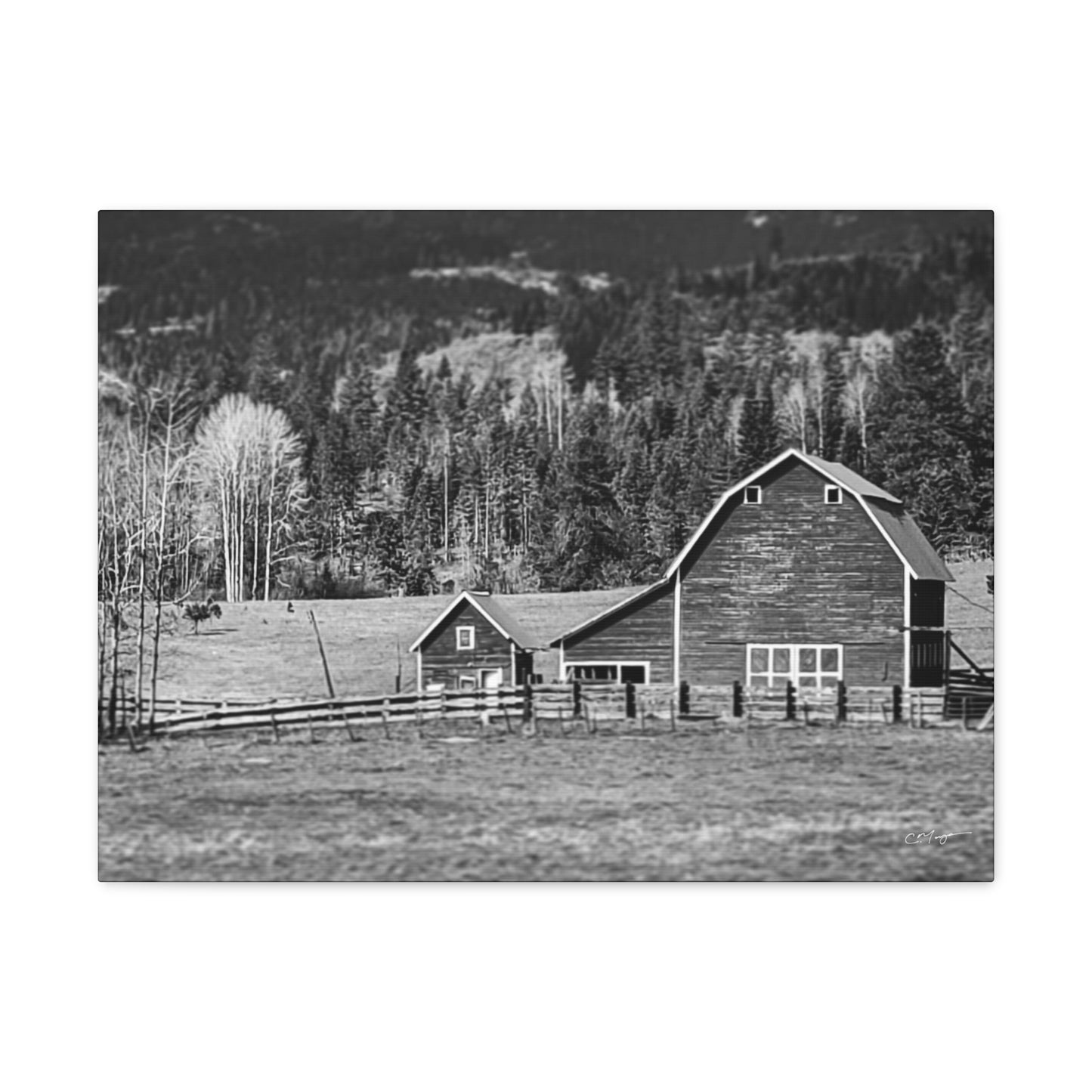 Canvas Print | Photo: Rural Life