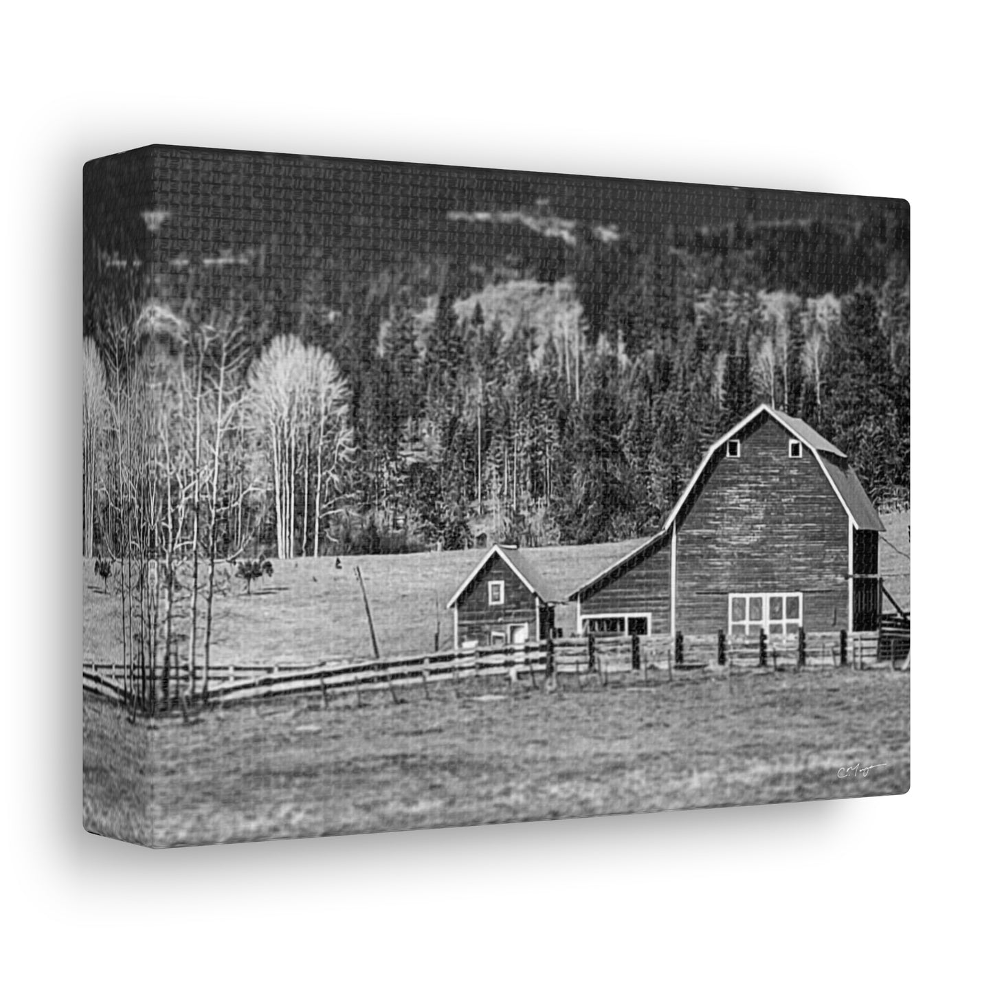 Canvas Print | Photo: Rural Life