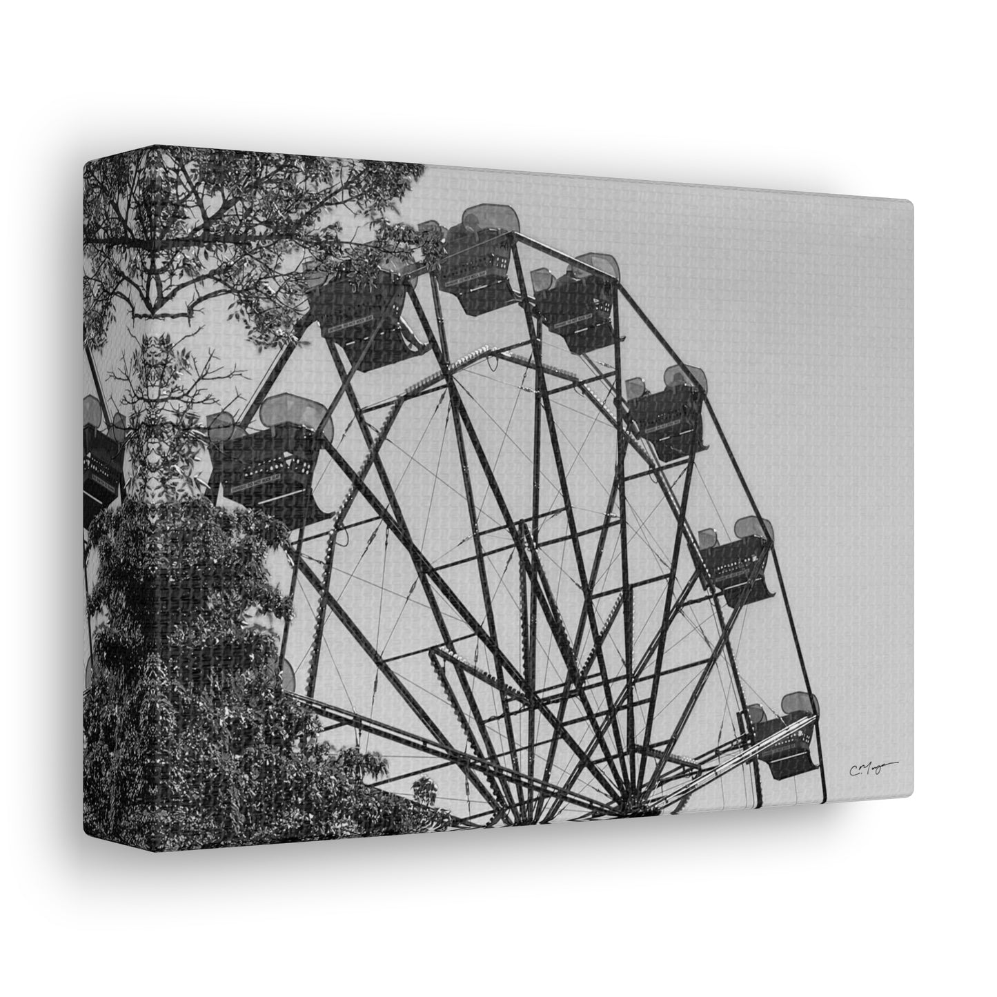 Canvas Print | Photo: Round We Go