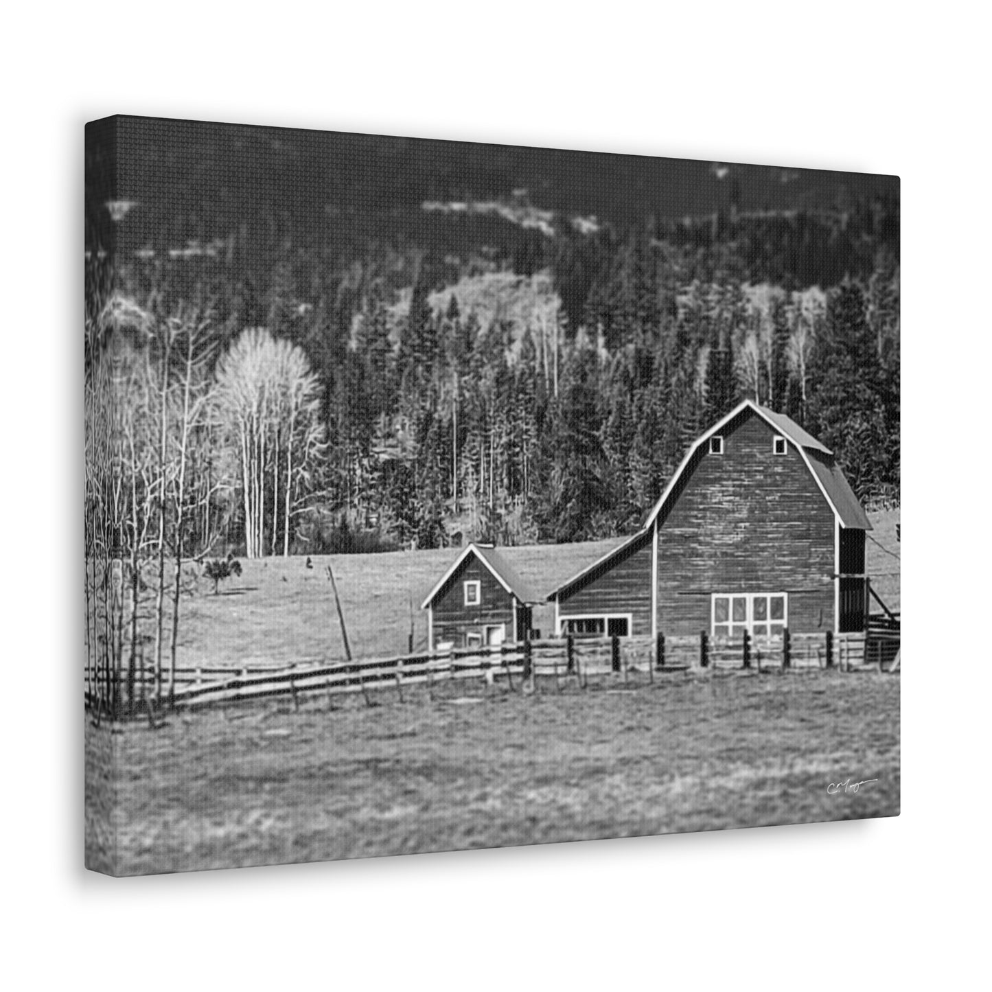 Canvas Print | Photo: Rural Life