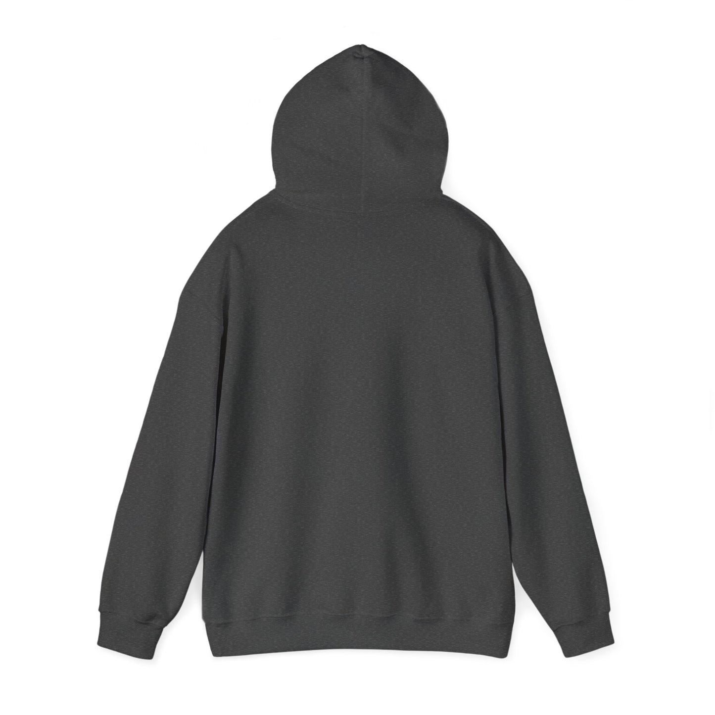 HFCS Logo - Unisex Heavy Blend™ Hooded Sweatshirt