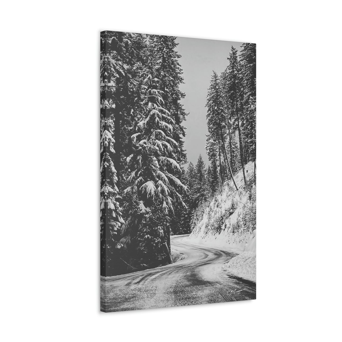 Canvas Print | Photo: The Road Home