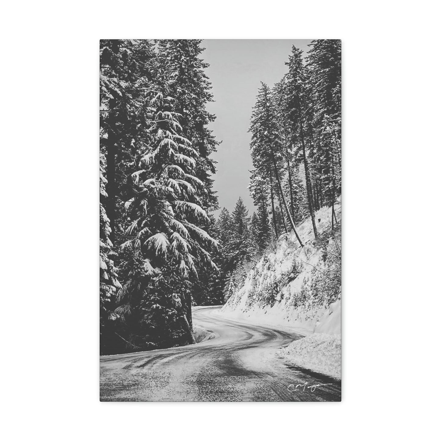 Canvas Print | Photo: The Road Home