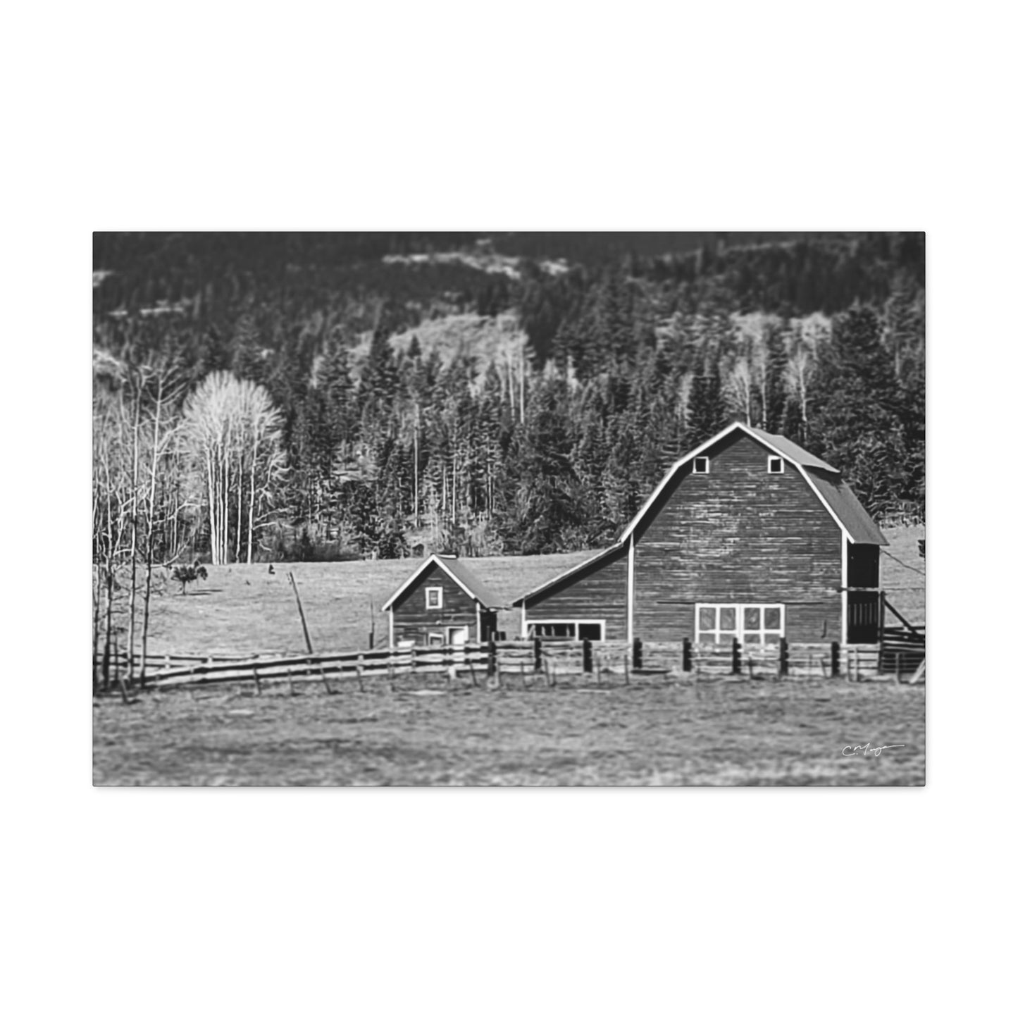 Canvas Print | Photo: Rural Life