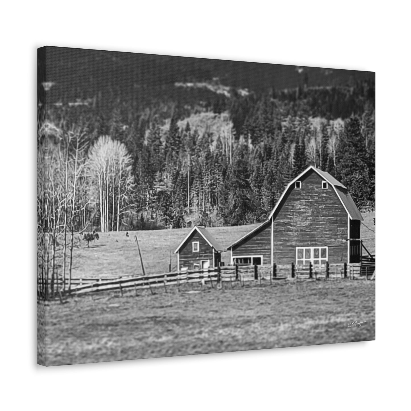 Canvas Print | Photo: Rural Life