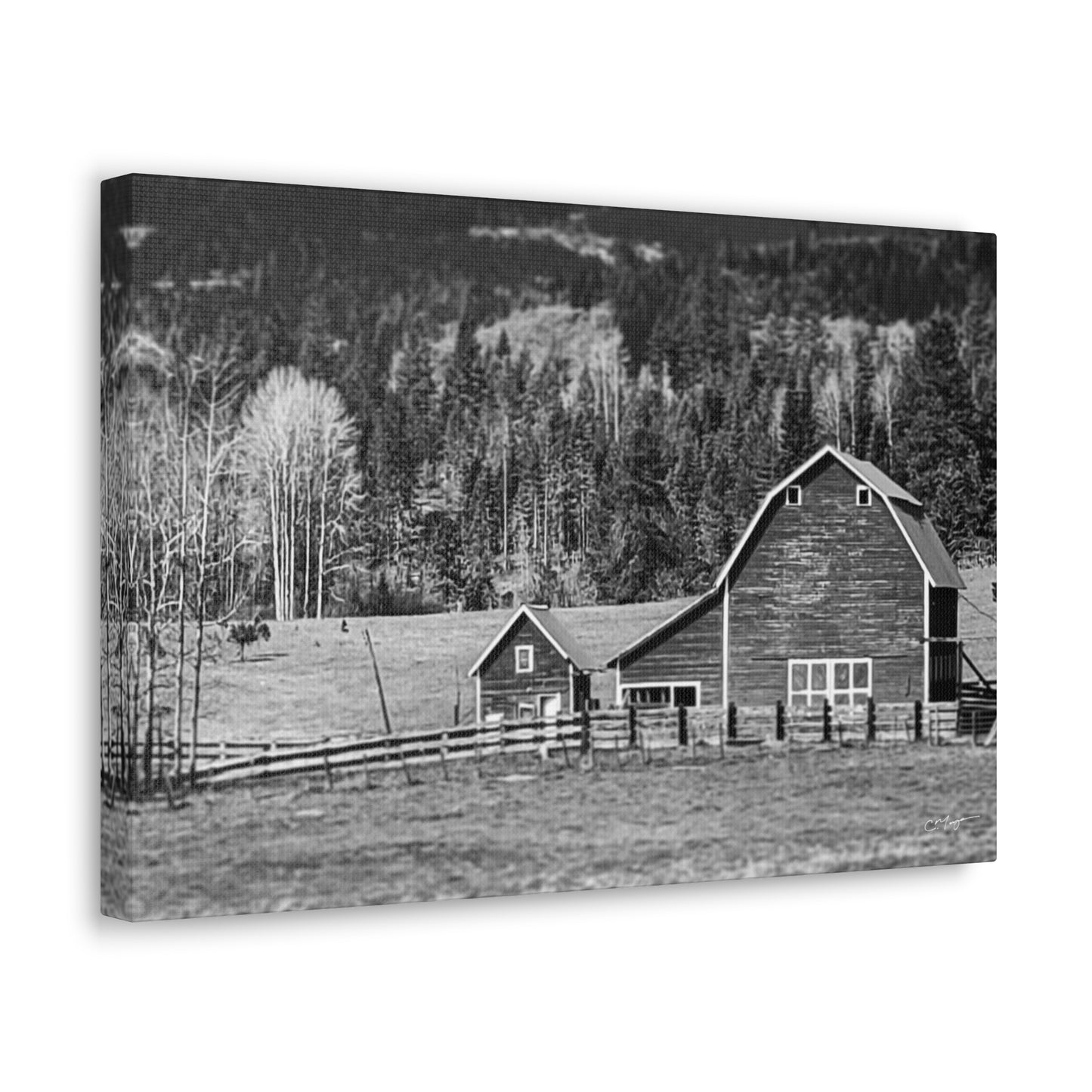 Canvas Print | Photo: Rural Life